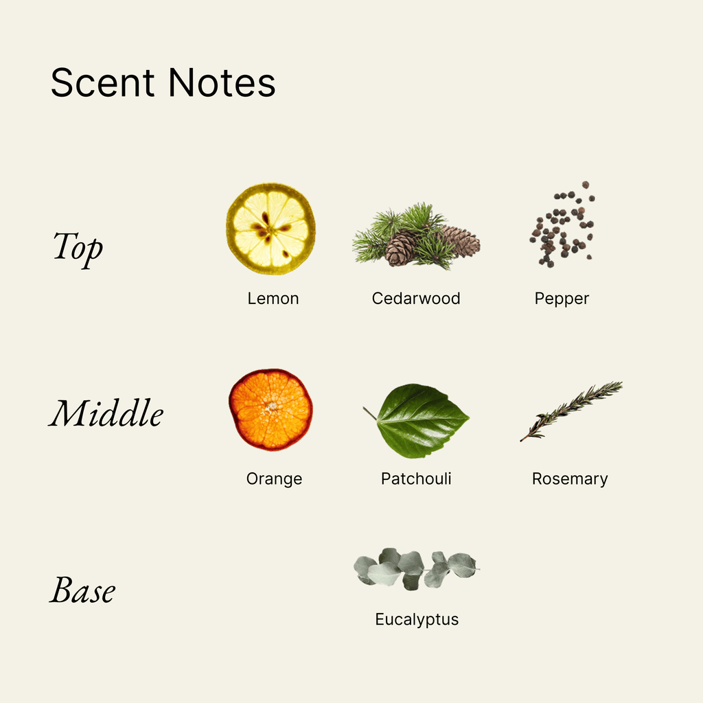 MINDFUL RENEWAL fragrance notes — lemon, cedarwood, rosemary, eucalyptus, patchouli